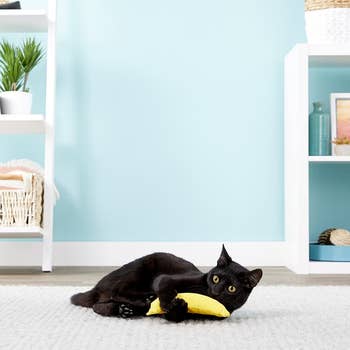 Black cat playfully interacts with a yellow toy banana on a white rug in a modern living room with plants and shelving