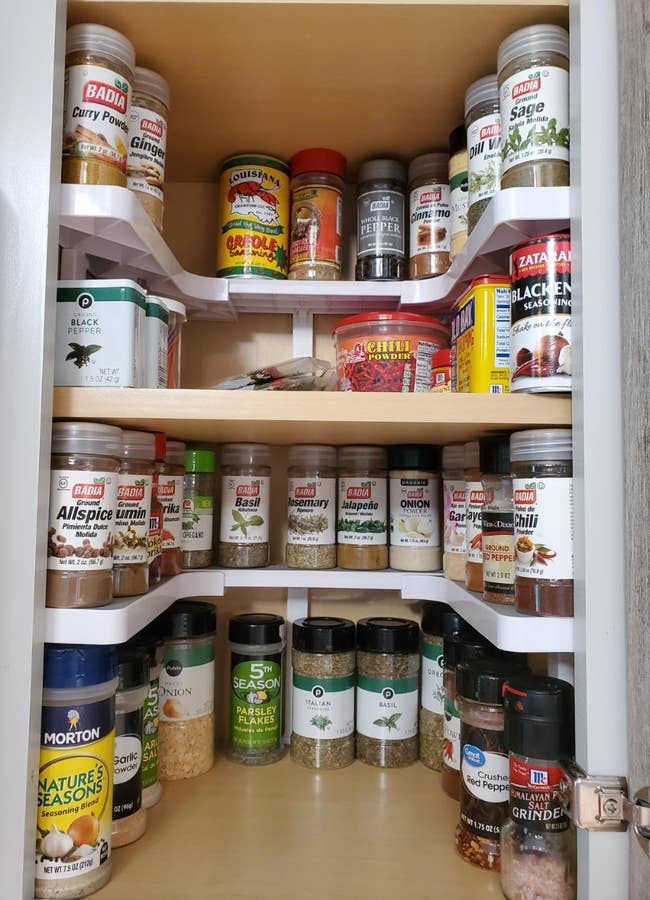 reviewer cabinet with spice shelves in it and spices on the shelves