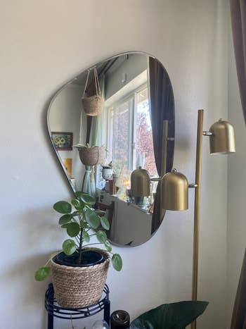 The mirror on a wall with a potted plant and lamp in front of it