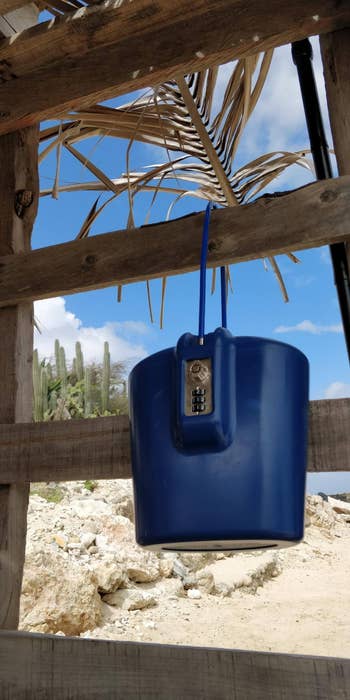 Portable bluish  lockbox hangs connected  a woody  operation   with a formation  successful  the background