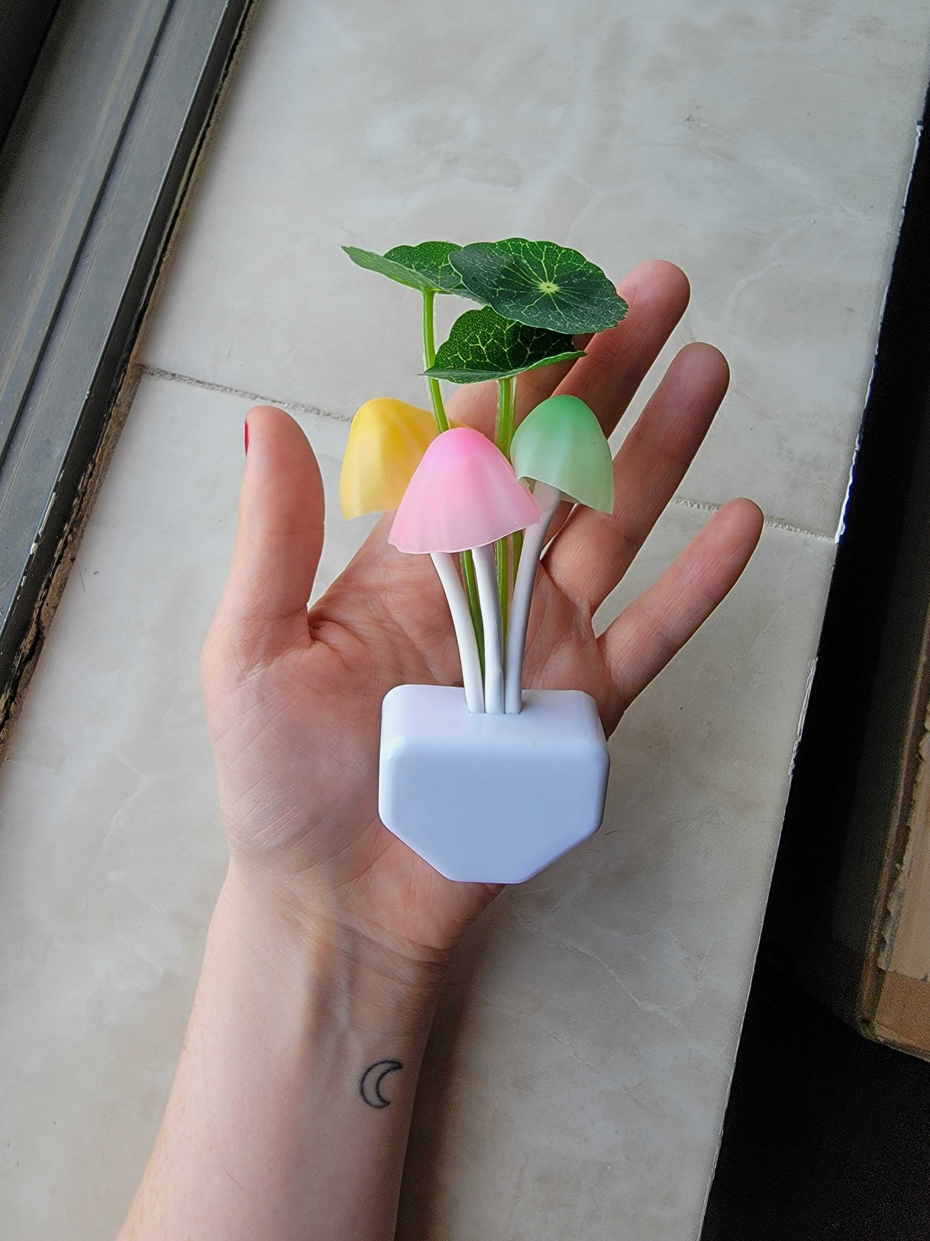 buzzfeed editor holding white plug with pastel mushrooms and leaves blooming out of it 