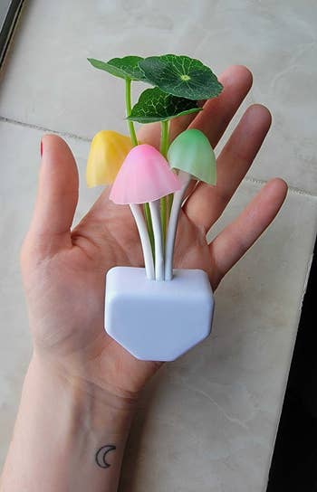 buzzfeed editor holding white plug with pastel mushrooms and leaves blooming out of it 