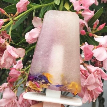 popsicle with flower petals in the bottom