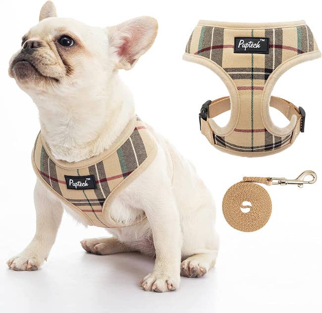 Dog wearing light brown plaid harness next to product and matching leash on a white background