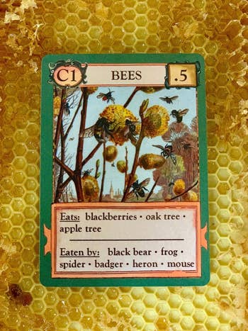 an individual game card: Bees