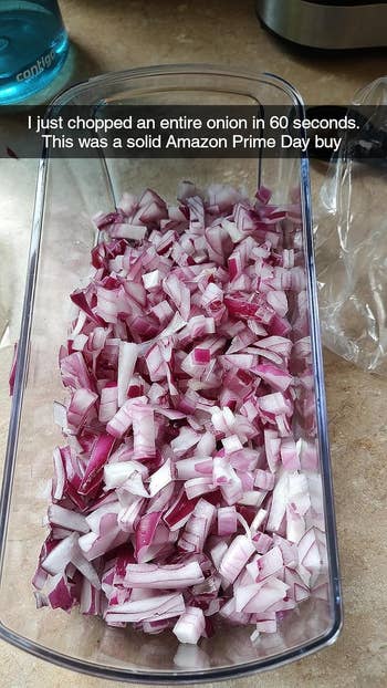 reviewers container filled with chopped red onion