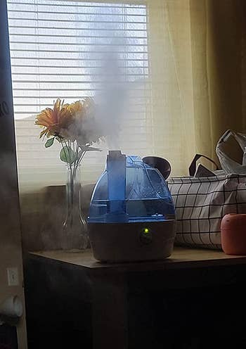 Reviewer's humidifier emitting steam from a distance