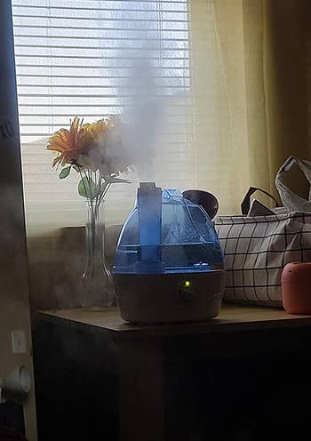 Reviewer's humidifier emitting steam from a distance