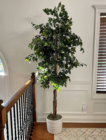 another reviewer's photo of the artificial ficus in a white pot
