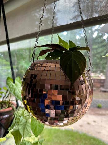 rose gold disco planter with plant hanging from ceiling