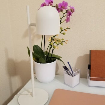 reviewer photo of a white lamp on their desk in front of purple and yellow flowers