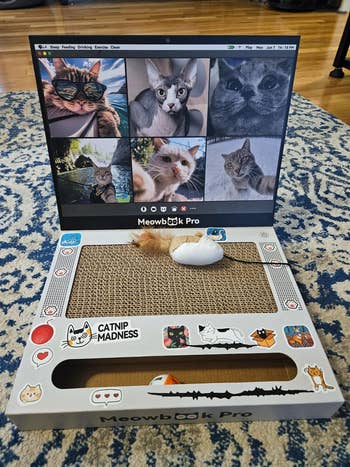 26 Products To Save Your Stuff From Playful Pets