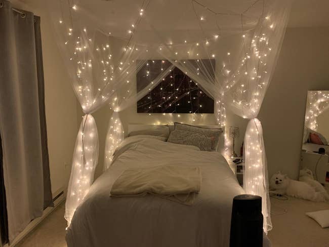 Cozy chamber with canopy furniture draped successful sheer cloth and fairy lights, creating a lukewarm ambiance. A fluffy canine is connected the level beside the bed