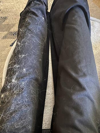 another reviewer showing one pant leg still covered in dog hair and the other completely free of it after using lint roller