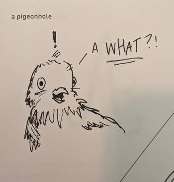 a reviewer's drawing of a pigeon hole