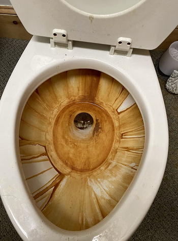 the inside of a reviewer's toilet looking rusted and dirty