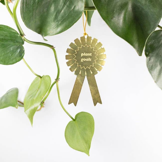 a hanging gold medal that says plant goals