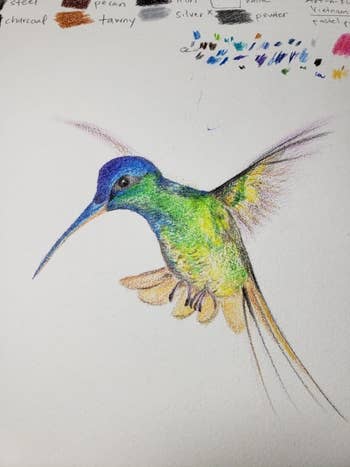 Hand-drawn image of a hummingbird in flight with color samples above
