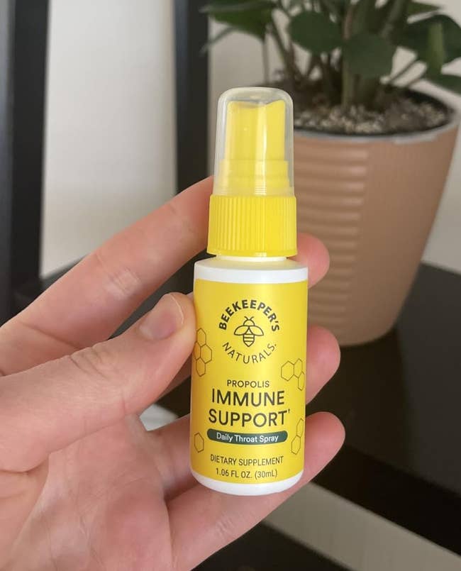 reviewer holding the tiny spray vessel with plants disposable successful the background