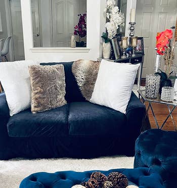 reviewer's couch with a navy blue slip cover on