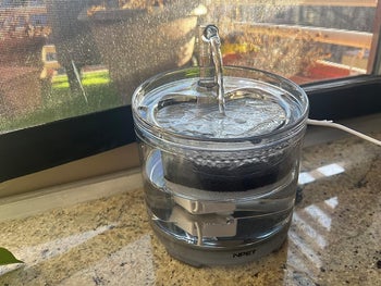 A reviewer's water fountain
