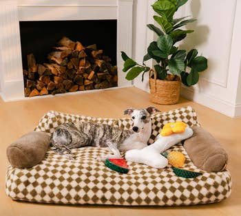 a brown and white checkered dog bed