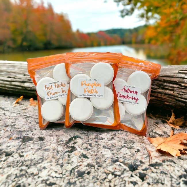 Packets of steamers in three scents: fall flicks drive-in, pumpkin patch, and autumn cranberry