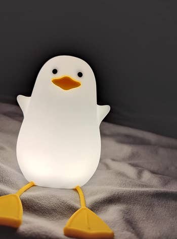 reviewer photo of the plain duck night-light
