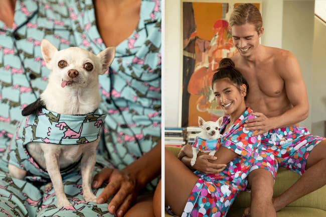 Two images of the matching dog PJs