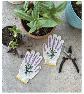 lavender themed gardening gloves