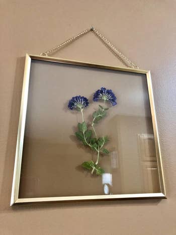 Pressed flowers in a gold hanging frame displayed on a wall