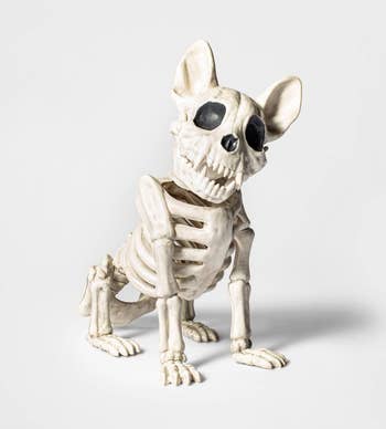 french bulldog skeleton