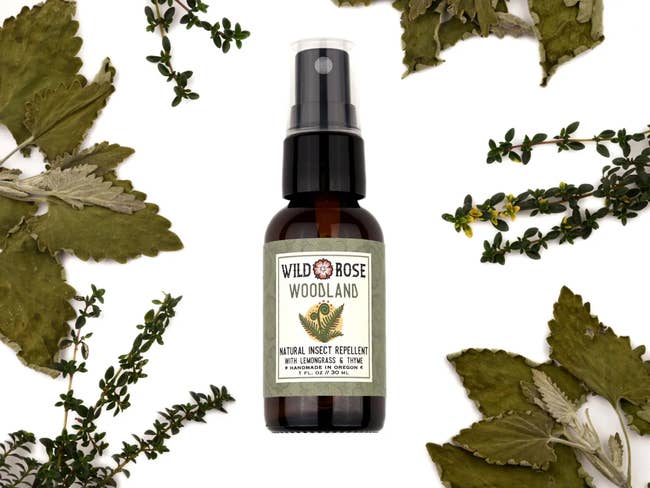 A vessel of Wild Rose Woodland insect repellent with lemongrass and thyme, surrounded by assorted herbs