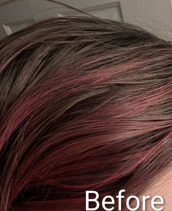 Close-up of hairsbreadth with reddish highlights, captioned
