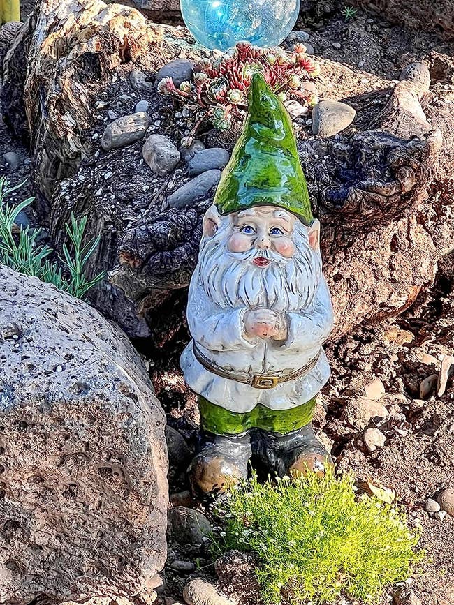 reviewer image of the garden gnome in a garden
