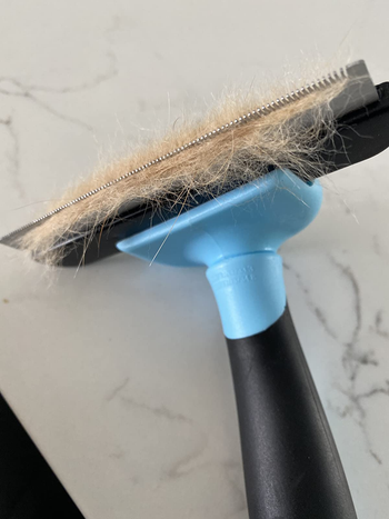 the grooming brush with hair in its