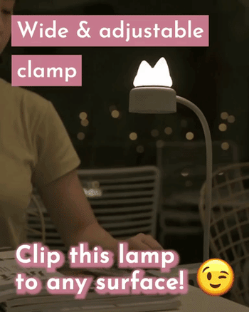 GIF of someone turning on the clamp lamp