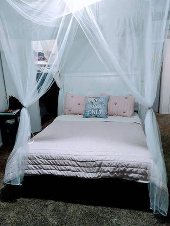 A reviewer's furniture  with a achromatic  canopy hanging supra  it