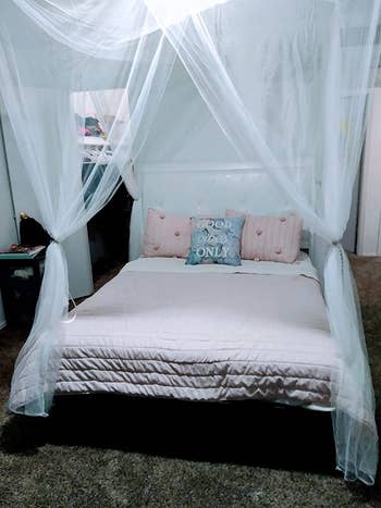A reviewer's bed with a white canopy hanging above it