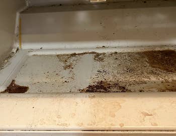 the inside of a reviewer's dirty fridge
