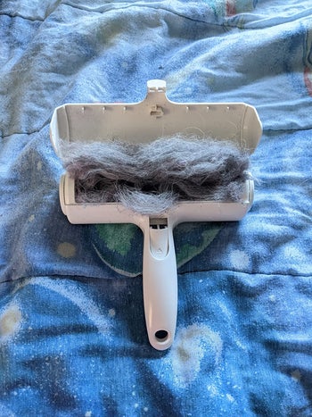 a bunch of pet hair inside the chomchom pet roller