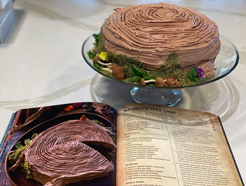 reviewer's open cookbook in front of a cake made from the book