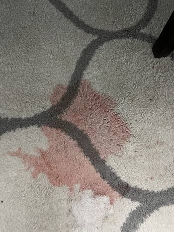 Reviewer's rug before using stain remover