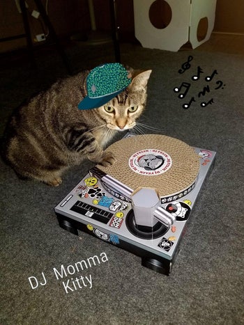 reviewer image of a cat using the scratching toy that looks like a DJ turn table