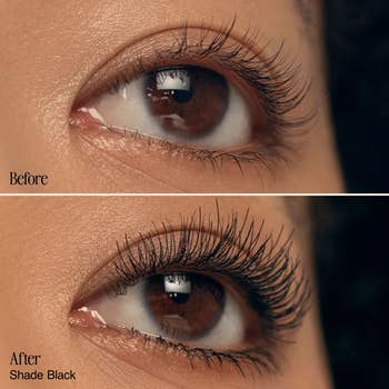 Close-up of an oculus  earlier  and aft  applying mascara, showing longer and fuller eyelashes post-application