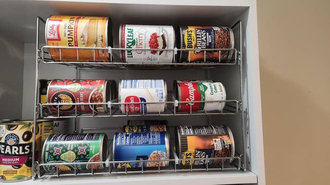 Cans of various foods neatly arranged on a kitchen shelf, showcasing pantry organization for shopping and storage inspiration