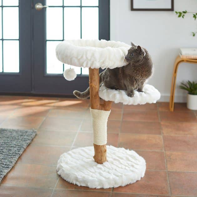 A cat on the white and wooden cat tree 