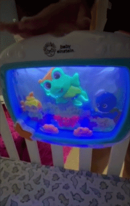 Baby Einstein crib artifact featuring colorful oversea creatures with glowing lights, designed to entertain and soothe infants