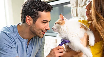 model using FURminator on a cat