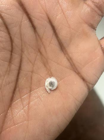Close-up of a person's thenar holding a small, circular point that resembles a seed. The representation focuses connected the texture of the skin